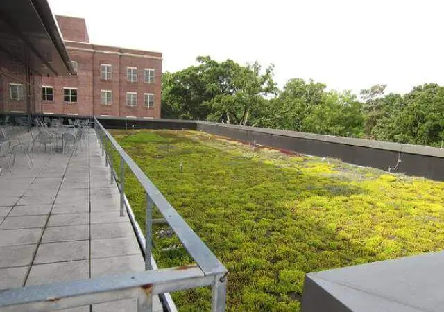 Roof Garden