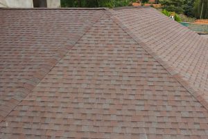 Roofing shingles