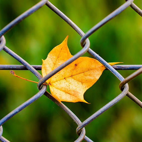 steel-chain-link-fence