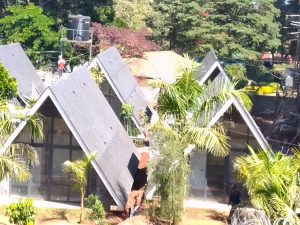 Cambridge Xpress Dual Black Shingles