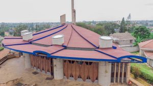 Single layered Red Beaver