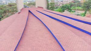 Single layered Red Beaver