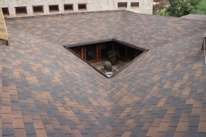 Single layered-Summer Brown